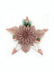 Plastic Christmas Decorative Pendant Star 18x18cm Rose Gold