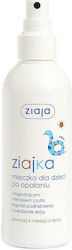 Ziaja Hairspray 170ml Ziaja Hairspray 170ml