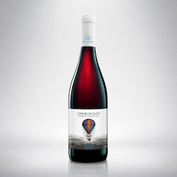 Tetarti Genia Oikonomopoulos Red Dry 750ml