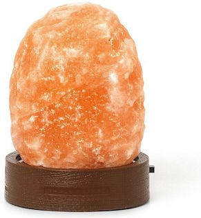 Decorative Himalayan LED Light Fixture