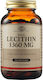 Solgar Lecithin 1360mg 100 softgels