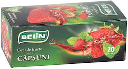 Editions Belin Τσάι 20 Φακελάκια 40gr