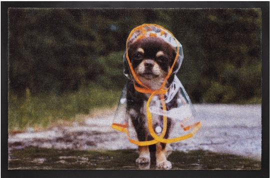 Hamat Entrance Mat Raincoat Dog Gray 40x60cm 5851402019 Gray