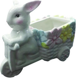 AGC Rabbit 16cm 2 Pieces