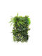 Supergreens Изкуствена панелна листва 50см x 1м