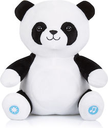 Chipolino Tier Panda mit Musik