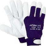 Galaxy Gloves for Work Cold-Resistant 1pcs