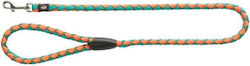 Trixie Dog Leash/Lead Strap Cavo in Beige color