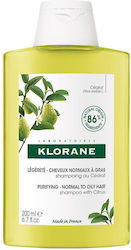 Klorane Citrus Purifying Σαμπουάν Λάμψης για Λι...