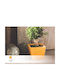 Viomes Planter Plastic Yellow 15x15x12.5cm.