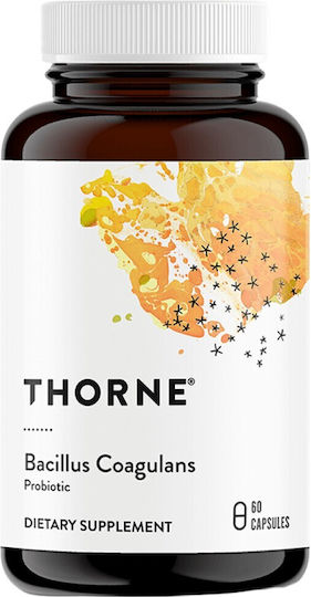 Thorne Bacillus Coagulans Пробиотици 60 капси