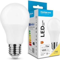 Modee Lighting Modee Lighting