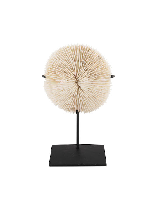 Freebox Metallic Coral Table Decor