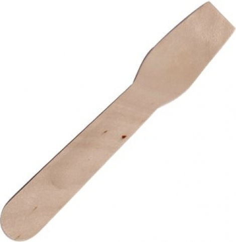 Ready Biodegradable Spoon Disposable Wooden 100pcs