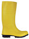 Cofra Castor Work Wellies Knee Yellow