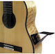 Gewa Ständer Boden für Gitarre/Bass 536.528