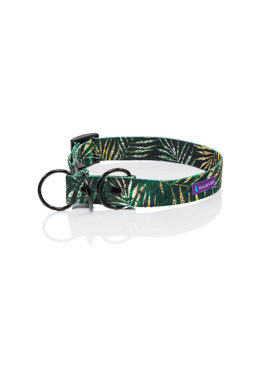 Hauever Dog Collar