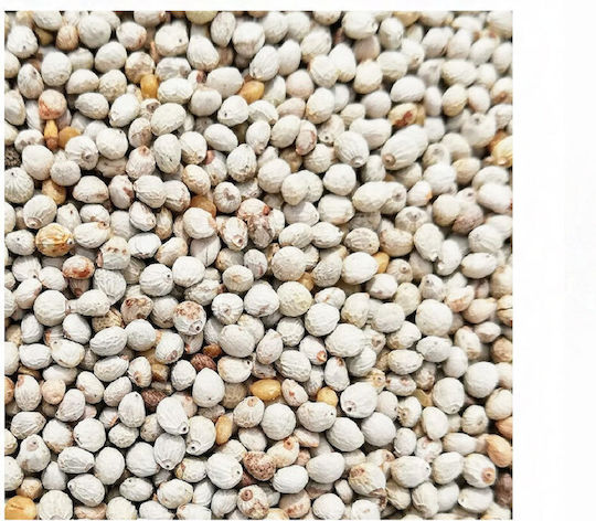 Donald Pet Care Futter für Kanarische Inseln 1kg