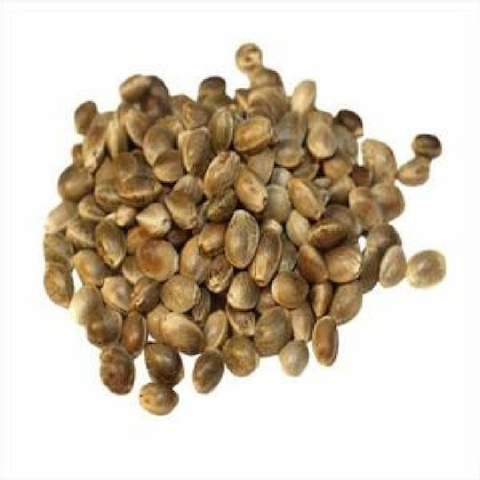 Donald Pet Care Hrană pentru Păsări 1kg