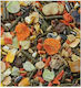 Manitoba Main Food with Carrot for Rabbit 1kg
