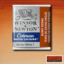 Winsor & Newton Oil Colour