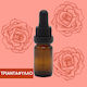 Mesogeios Ätherisches Öl Rose 10ml
