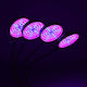 Desk Grow Light with LED