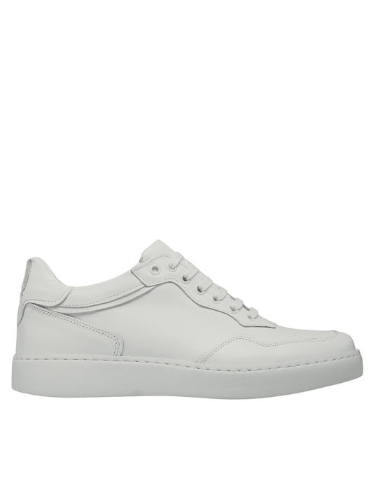 Antonio Shoes Sneakers White