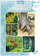 Leonardo Collection, 45, Trees and Leaves