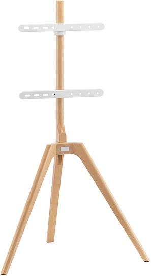 Jolly Line DTM-3270 TV Mount Floor up to 70" and 40kg Silver