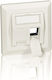 Equip Single Network Socket RJ45 with Frame in White Color 760303