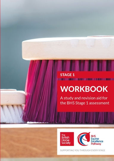 Bhs Stage 1 Workbook