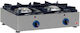 North Gas Επαγγελματική Εστία Διπλή 15kW 63x37x16cm
