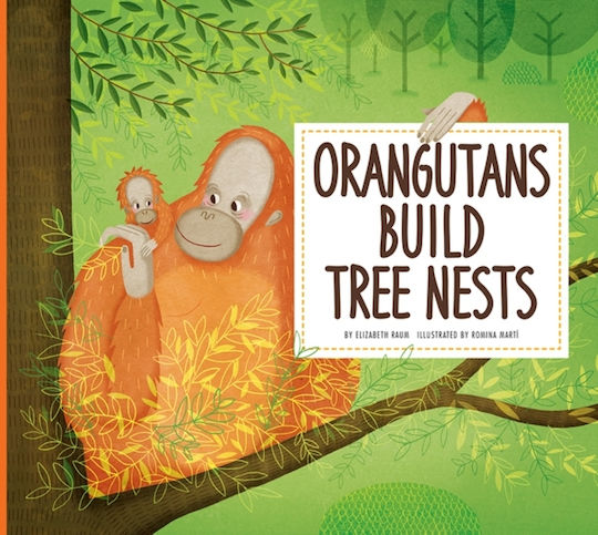 Orangutans Build Tree Nests Orangutans Build Tree Nests