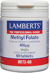 Lamberts Methyl Folate Spezielles Nahrungsergänzungsmittel 60 Registerkarten