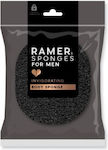 Ramer Sponges Sponge 1pcs