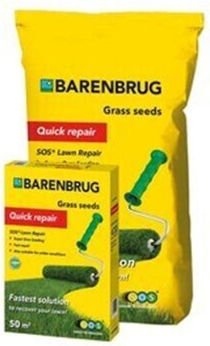 Barenbrug Σπόροι 1kg