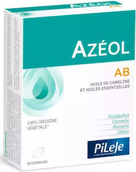 Pileje Azeol Ab Supliment Pe Bază De Plante Ulei De Cameline Și 4 Uleiuri Esențiale 30 Comprimate Pileje Azeol Ab Supliment Pe Bază De Plante Ulei De Cameline Și 4 Uleiuri Esențiale 30 Comprimate