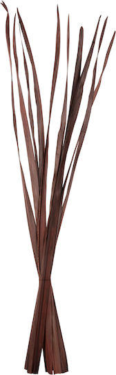 Dried Brown Plant 10 Pieces HomeMarkt Dried Brown Plant 10 Pieces HomeMarkt