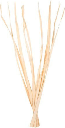 Dried Plant 10 Pieces HomeMarkt Dried Plant 10 Pieces HomeMarkt