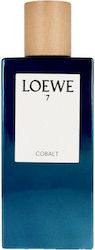Loewe 7 Cobalt Loewe 7 Cobalt