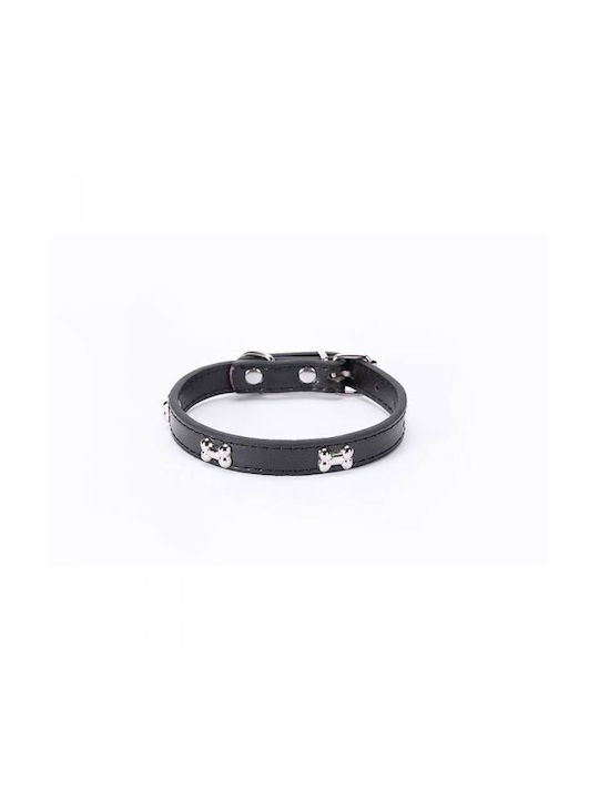 Dog Collar in Negru color