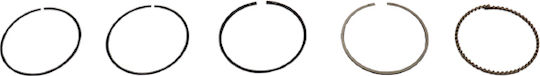 Motorcycle Piston Springs