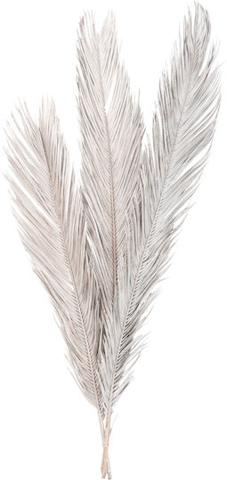 Getrocknete Pflanze Palme Silber HomeMarkt