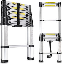ForHome Teleskopleiter Aluminium 10 Stufen ForHome Teleskopleiter Aluminium 10 Stufen