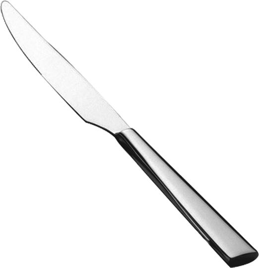 Salvinelli Forged Μαχαίρια Φαγητού από Ανοξείδωτο Ατσάλι 23cm 12τμχ
