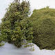 Oikogeneia Giamarelou Oregano 500g