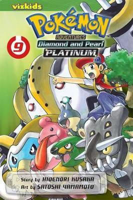 Pokemon D P Plat 09 Pa