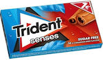 Trident Trident Senses Κανέλα & Μέντα 27gr