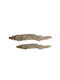 InTheBox Διακοσμητικός Δίσκος Αλουμινίου Reed 74x19x5cm 2τμχ